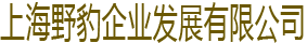 试验变压器,变频串并联谐振试验装置,变频串联谐振成套装置,无局放试验变压器,
